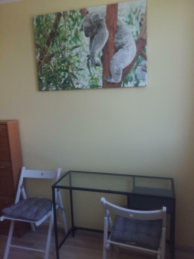 Apartament Czwarte Pietro Świecie Exteriér fotografie